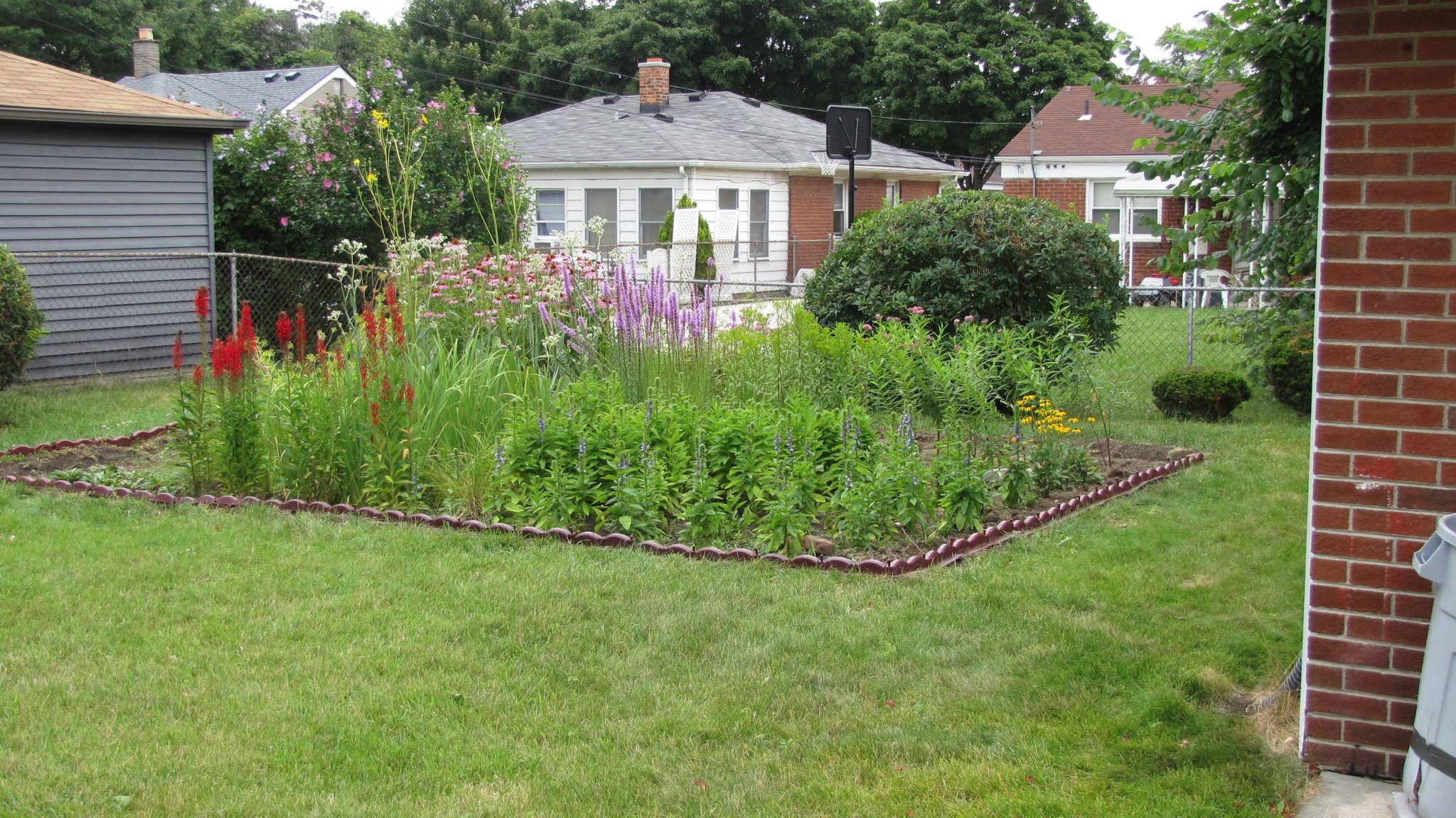 Rain Garden Design & Construction in Ann Arbor, MI | Creating